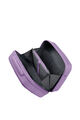 STARVIBE BEAUTY CASE  hi-res | American Tourister