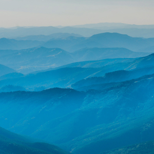 latest-discover-wots-on